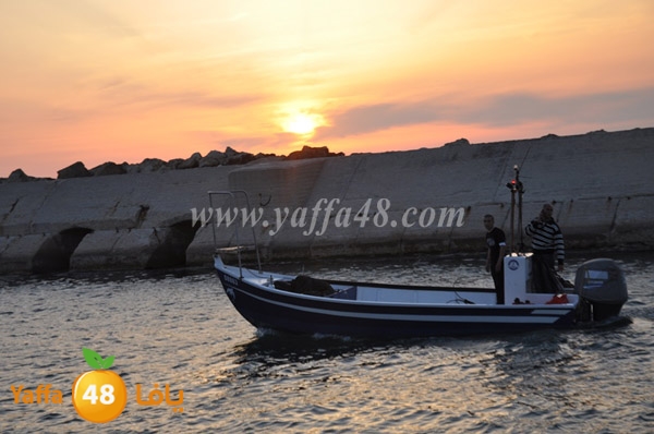 inqelab markeb yaffa mina2 sj (13).JPG